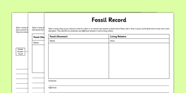 Differentiated Fossil Record Worksheet   Worksheet