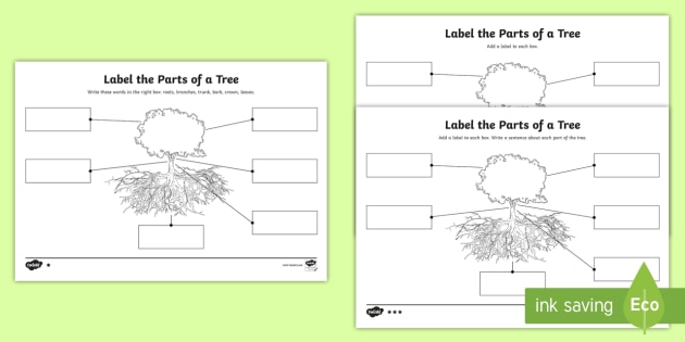 Ks1 Label The Parts Of A Tree Differentiated Worksheets