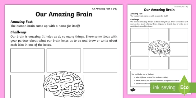 Our Amazing Brain Worksheet   Worksheet