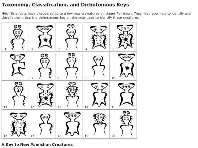 Classification Of Life Worksheet Answers