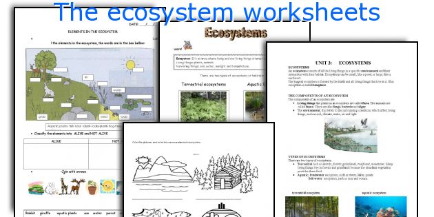 The Ecosystem Worksheets