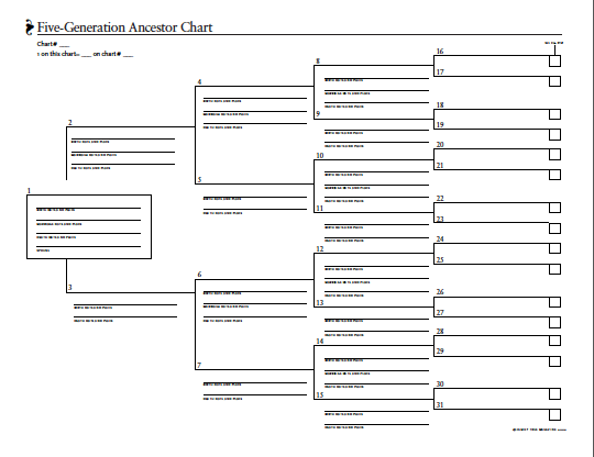 Basic Charts And Worksheets