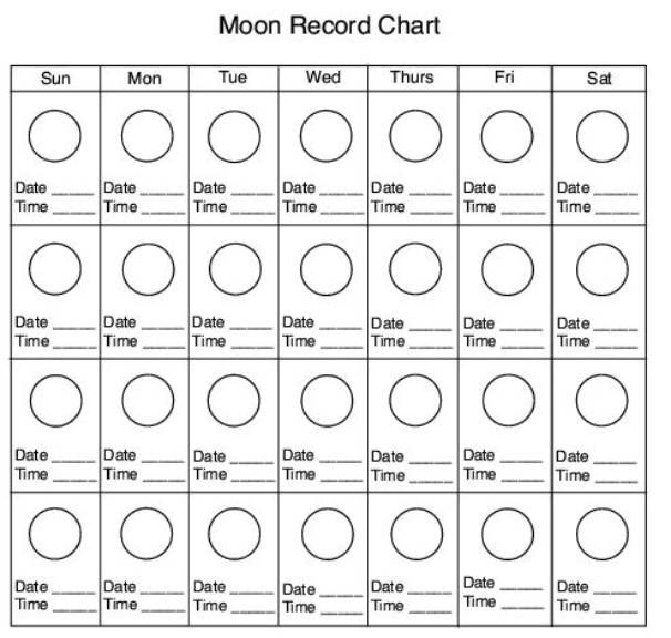 Michelle Capece (michellecapece) On Worksheets Samples