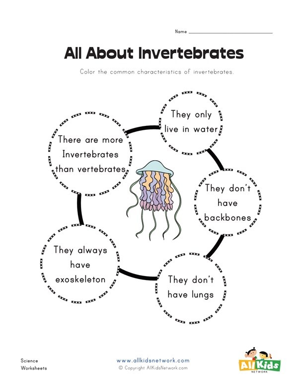 All About Invertebrates Worksheet