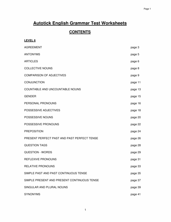 Level 6 English Grammar Test Worksheets