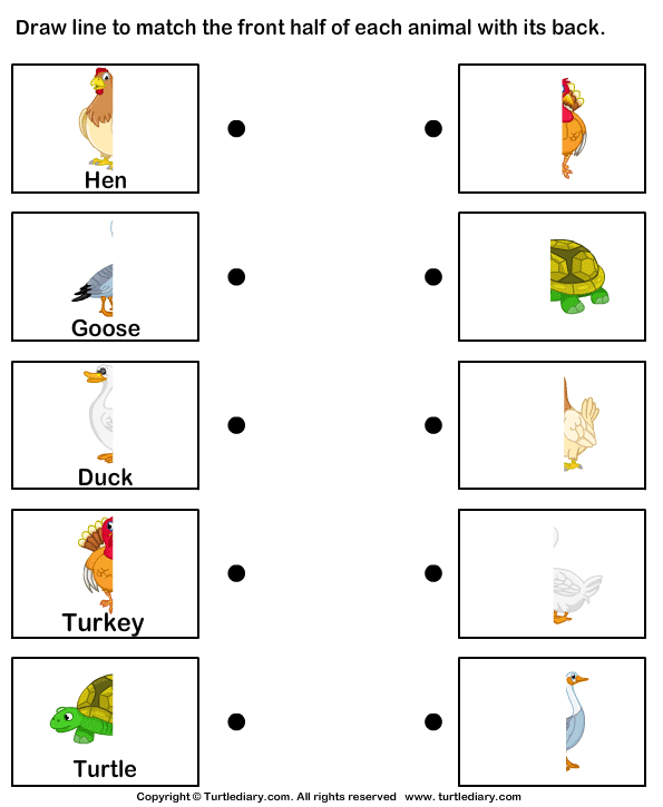 Match Animal Body Parts