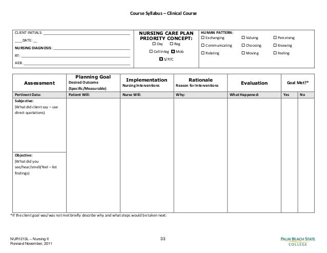 Blank Nursing Care Plan Templates