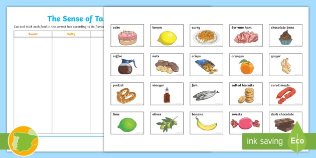The Sense Of Taste Cut And Stick Worksheet