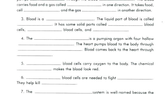 Free Circulatory System Worksheets Coloring Page For Kids Pages