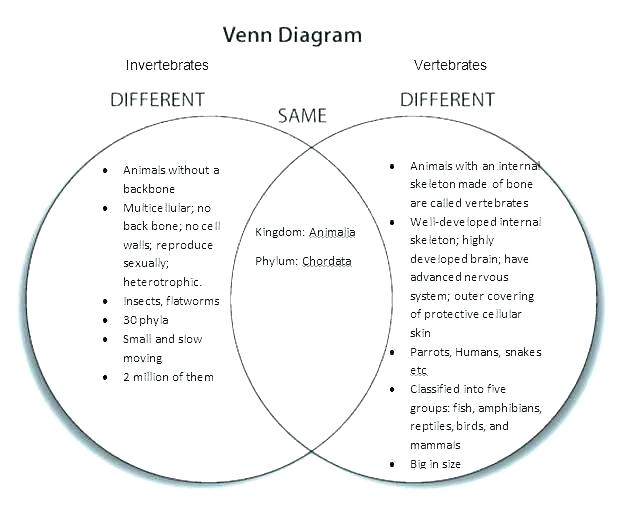 Vertebrates Worksheets â Danielderidder Info