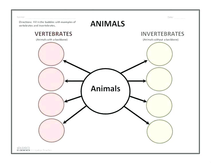 Vertebrates And Invertebrates Worksheets â Danielderidder Info
