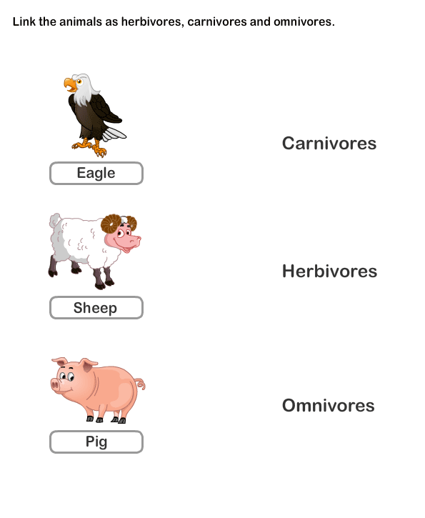 Food Chain And Food Web Worksheets