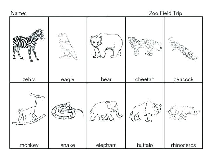 Zoo Animal Worksheets For Preschoolers