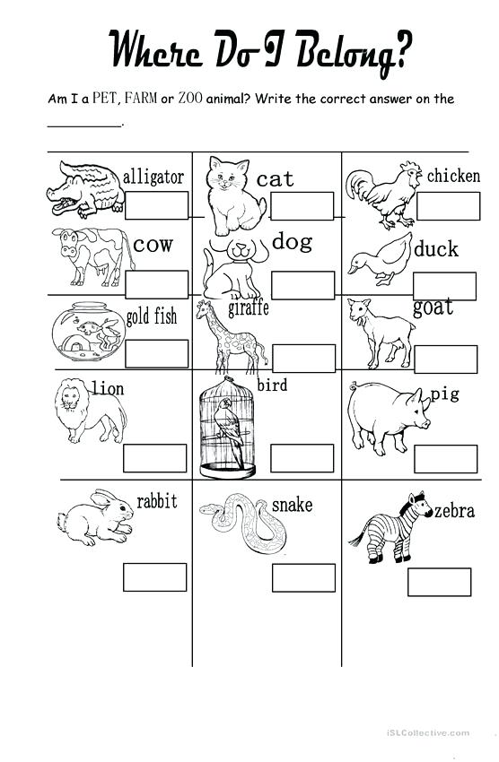 Zoo Worksheets Kindergarten Zoo Animals Worksheets For