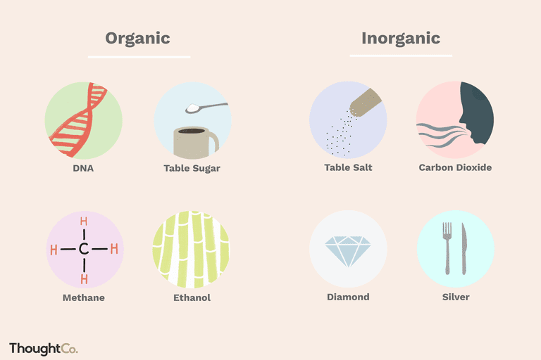 Unit 1  Organic Chemistry
