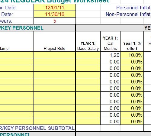 Employee Payroll Budget Worksheet Template