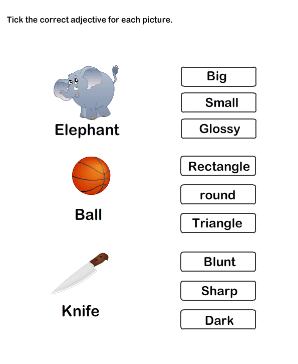 Describing Words Worksheet12
