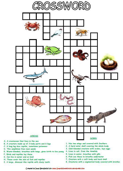 Animal Classification Activity Worksheets