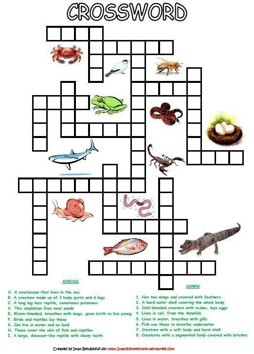 Animal Classification 2nd Grade Worksheet Free Printable