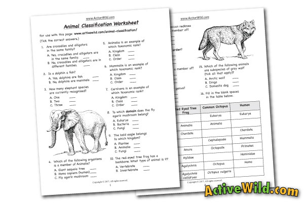 Free Printable Worksheets For Teachers & Parents