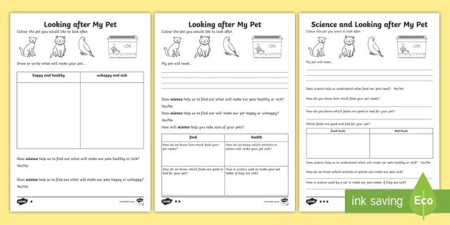 Caring For Pets Science Differentiated Worksheet   Worksheets