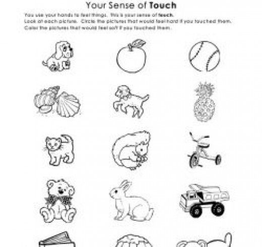 Teaching Sense Of Touch