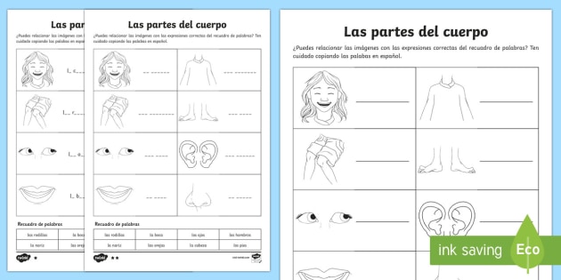 Las Partes Del Cuerpo My Body Parts Worksheet   Worksheet Spanish