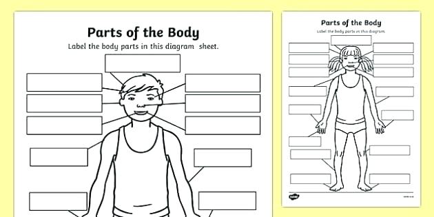 Body Parts In Spanish Worksheets â Morningknits Com