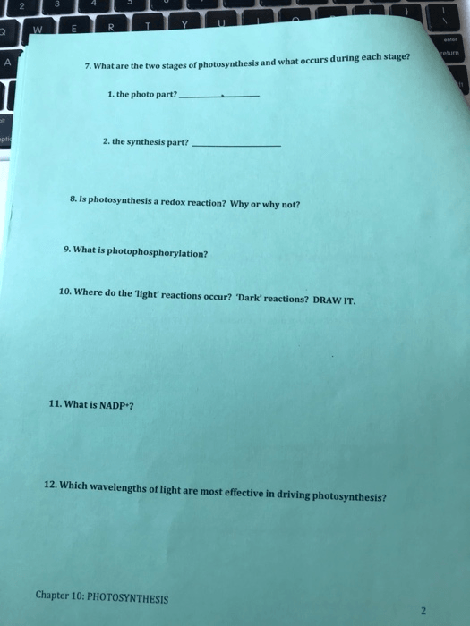 Solved  Biology 151 Name Chapter 10  Photosynthesis Worksh