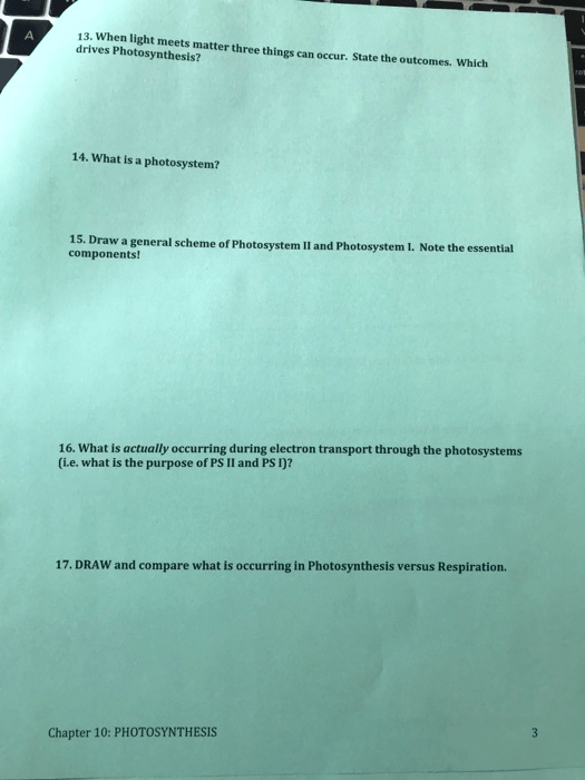 Solved  Biology 151 Name Chapter 10  Photosynthesis Worksh