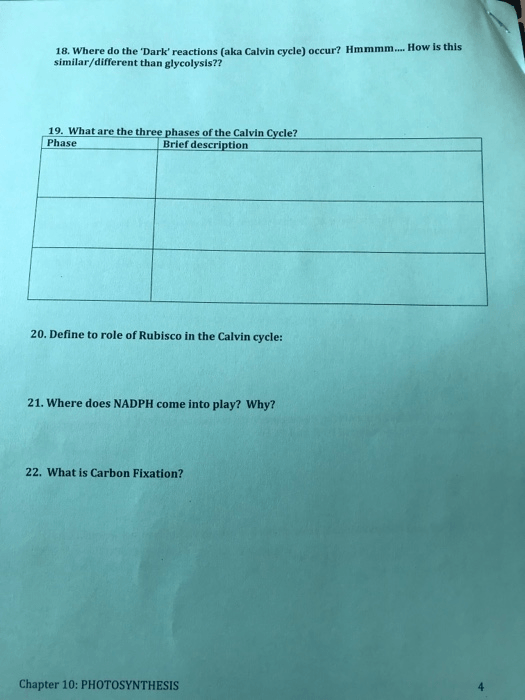 Solved  Biology 151 Name Chapter 10  Photosynthesis Worksh