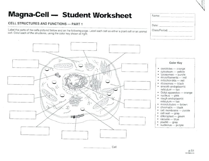 Plant Cell Label Worksheets â Odmartlifestyle Com