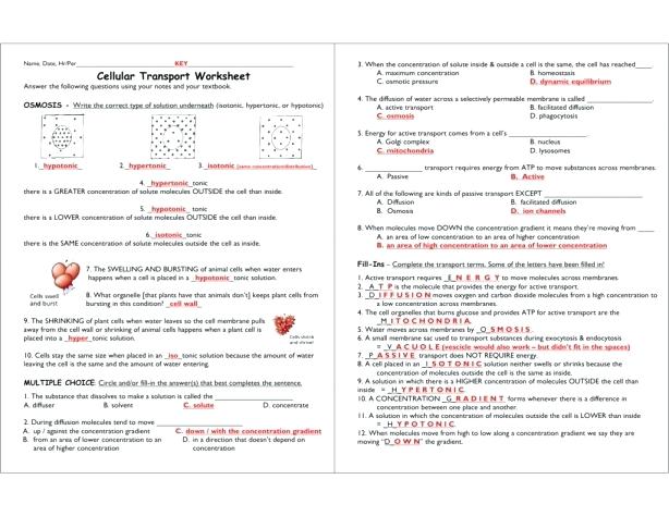 Tonicity Worksheets â Franceitaly Co
