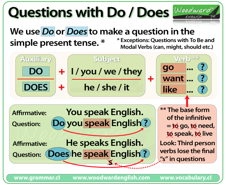 Do Vs Does Questions