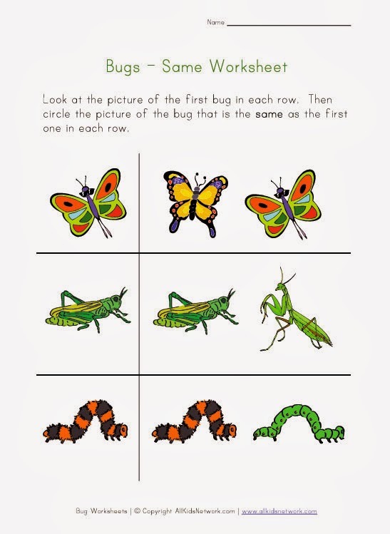 Same Or Different Worksheets For Kindergarten