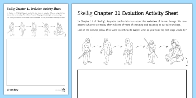 Skellig Chapter 11 Evolution Worksheet