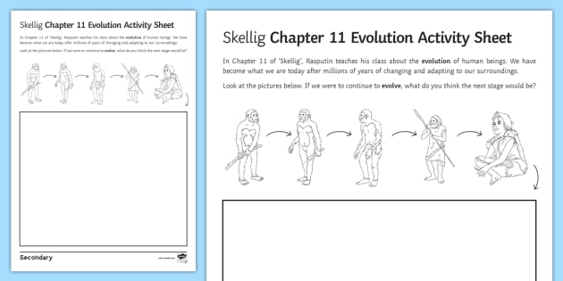 Skellig Chapter 11 Evolution Worksheet