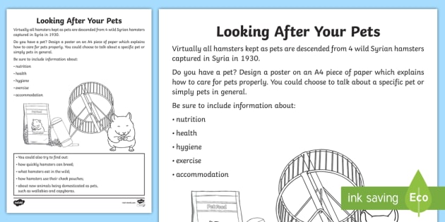 Looking After Your Pets Worksheet   Worksheet