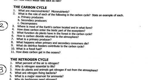 Water Carbon And Nitrogen Cycle Worksheet Color Sheet Answers